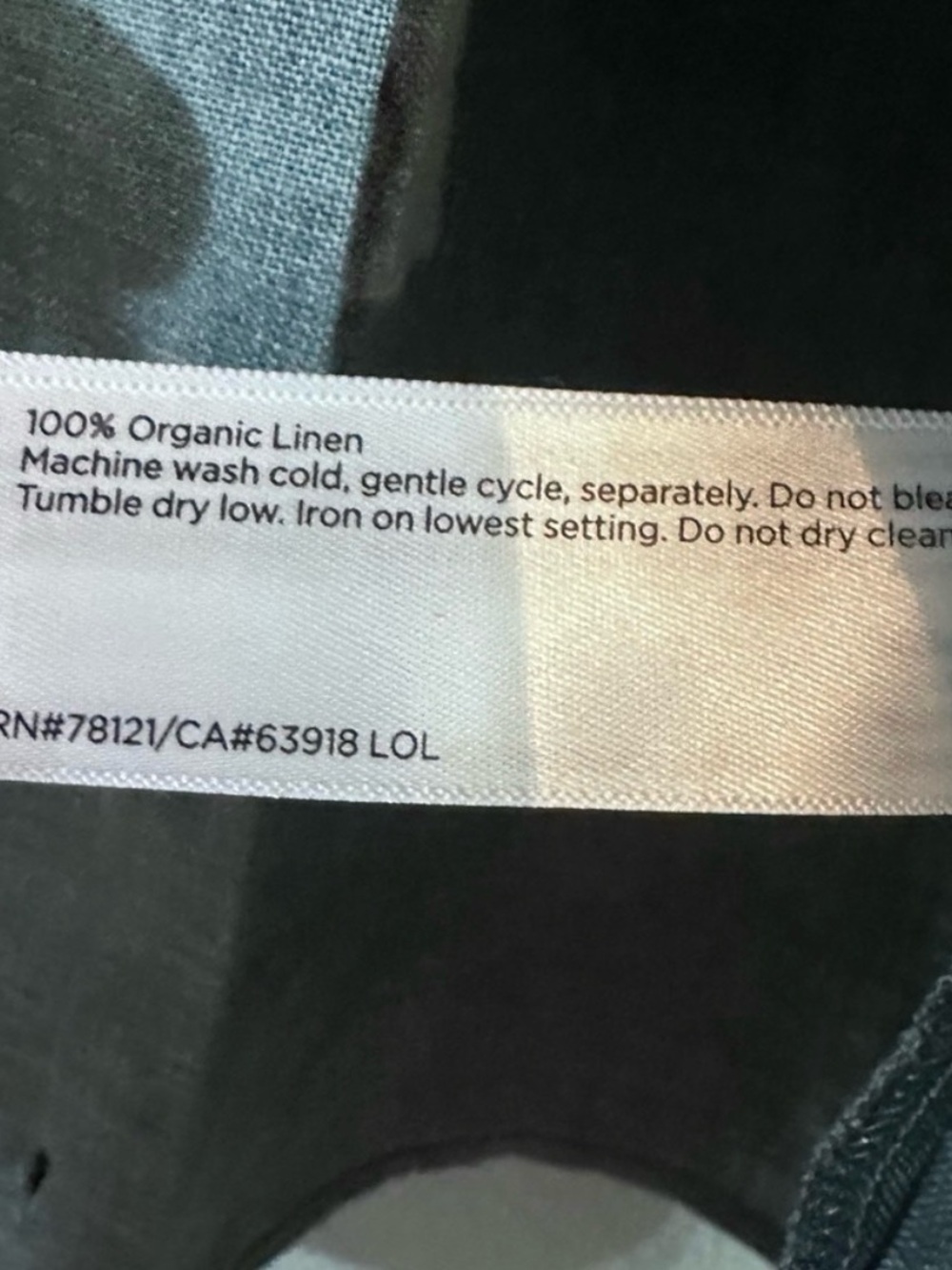 Eileen Fisher Washed Organic Linen Delave in Nile - Picture 6 of 7